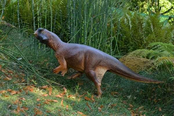 Psittacosaurus' body