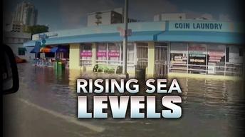 South Florida considers investment against rising seas image