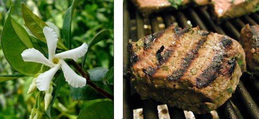 <strong>Jasmine and Beef: The Perfect Flavor Combination?</strong>  