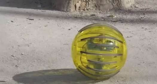 The Science Of Hamster Balls: New Rolling Robot Could Help Farmers