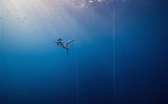 Scientists still don't understand how freedivers can survive such crushing depths