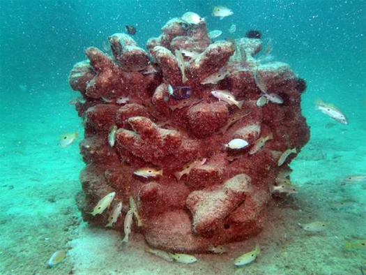3D Printing Could Save Coral Reefs